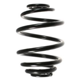 Fahrwerksfeder 55059 von SPIDAN günstig für 44,62 € online kaufen