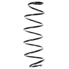 Fahrwerksfeder 55163 von SPIDAN günstig für 43,92 € online kaufen