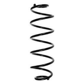 Fahrwerksfeder 55167 von SPIDAN günstig für 43,46 € online kaufen