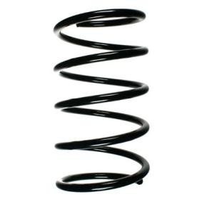 Fahrwerksfeder 55493 von SPIDAN günstig für 71,75 € online kaufen