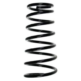 Fahrwerksfeder 55494 von SPIDAN günstig für 59,20 € online kaufen