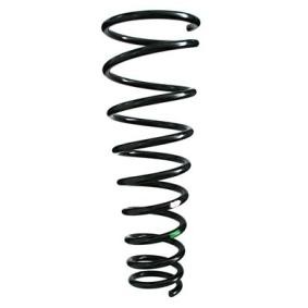 Fahrwerksfeder 55881 von SPIDAN günstig für 65,22 € online kaufen