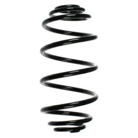 Fahrwerksfeder 56040 von SPIDAN günstig für 66,56 € online kaufen