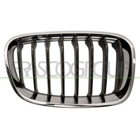 Compre Grelha de PRASCO online para 1 Hatchback (F20) a preços moderados