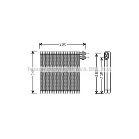 Acquista Evaporatore climatizzatore da PRASCO MZV216 a buon mercato per soli 139,22 €