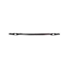 Comprar Soporte, parachoques de BLIC 5502-00-0067941P a bajo precio de 19,03 €