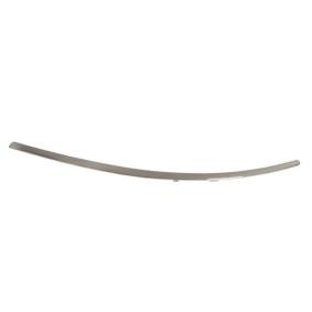 Acquista Modanatura paraurti da BLIC 5703-05-3506972P a buon mercato per soli 25,51 €