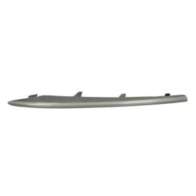Compre Friso de para-choques da BLIC 6502-07-0096922P a um preço baixo por 8,98 €