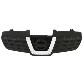 Kühlergrill 6502-07-1617990P von BLIC günstig für 50,10 € online kaufen
