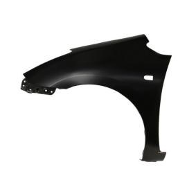Compre Guardabarros de BLIC online para PRIUS Fastback (NHW20_) a precios moderados