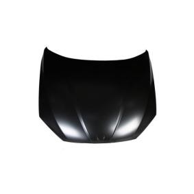 Motorhaube 6803-00-3127281P von BLIC günstig für 233,68 € online kaufen