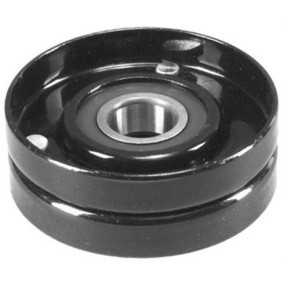 Achetez des Poulie, tendeur de courroie d'accessoire MAGNETI MARELLI 331316170180 à prix pour 16,57 €