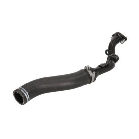 Kühlerschlauch DW0319TT von THERMOTEC günstig für 23,51 € online kaufen