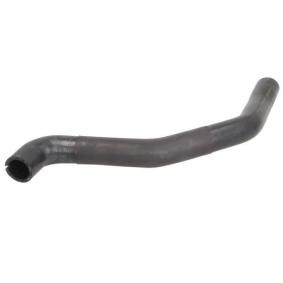 Compre Manguito de radiador de THERMOTEC online para ESPACE IV (JK0/1_) a precios moderados