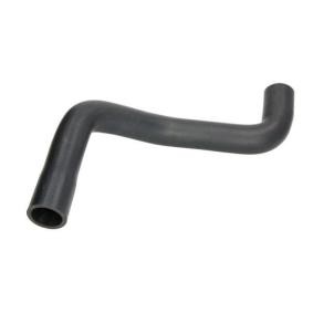 Compre Manguito de radiador de THERMOTEC online para Clio III Hatchback (SB, SR) a precios moderados