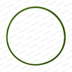 Compre Junta de colector de admisión de PAYEN online para ORLANDO (J309) a precios moderados