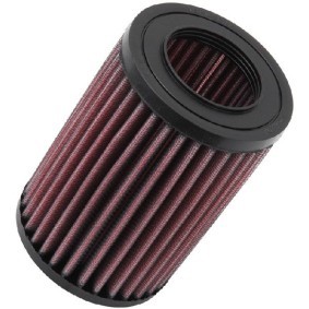 Acquista Filtro aria sportivo da K&N Filters online per FOCUS Tre volumi (DFW) a prezzi moderati