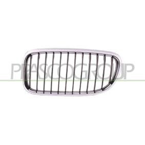 Kühlergrill BM0262004 von PRASCO günstig für 24,99 € online kaufen