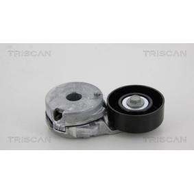 Achetez des Poulie, tendeur de courroie d'accessoire de chez TRISCAN en ligne pour Safrane II (A3_, L7_) à prix modérés