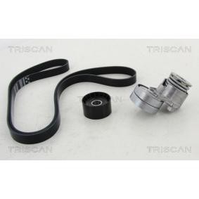 Keilrippenriemensatz 8642 10017 von TRISCAN günstig für 158,35 € online kaufen