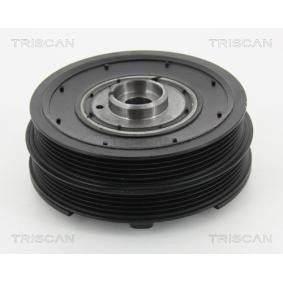 Compre Polia, cambota da TRISCAN 8643 17001 a um preço baixo por 272,04 €