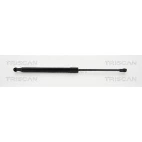 Heckklappendämpfer 8710 13285 von TRISCAN günstig für 59,05 € online kaufen