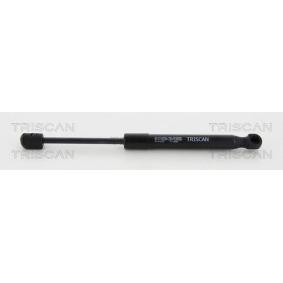 Heckklappendämpfer 8710 14251 von TRISCAN günstig für 12,72 € online kaufen