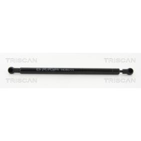 Heckklappendämpfer 8710 16257 von TRISCAN günstig für 15,12 € online kaufen