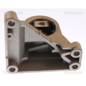 Acquista Ammortizatore pneumatico, Cofano bagagli / vano carico da TRISCAN 8710 24251 a buon mercato per soli 16,18 €