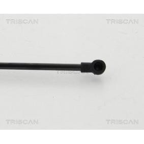 Heckklappendämpfer 8710 24254 von TRISCAN günstig für 36,09 € online kaufen