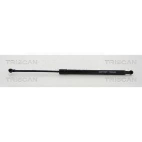 Heckklappendämpfer 8710 24255 von TRISCAN günstig für 44,87 € online kaufen
