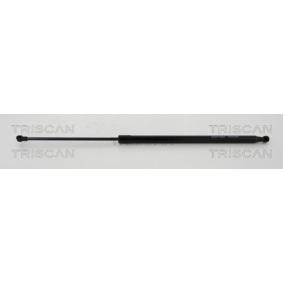 Heckklappendämpfer 8710 24256 von TRISCAN günstig für 34,23 € online kaufen