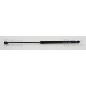 Heckklappendämpfer 8710 27225 von TRISCAN günstig für 55,31 € online kaufen