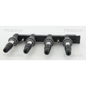 Compre Bobina de ignição da TRISCAN 8860 10005 a um preço baixo por 136,36 €