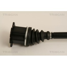 Acquista Vite di chiusura, vaschetta dell'olio da TRISCAN 95-0970 a buon mercato per soli 4,80 €