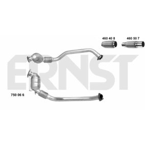 Katalysator 750066 von ERNST günstig für 387,12 € online kaufen