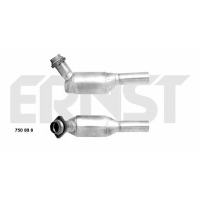 Katalysator 750080 von ERNST günstig für 249,39 € online kaufen