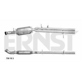 Katalysator 750103 von ERNST günstig für 427,56 € online kaufen