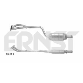Katalysator 750189 von ERNST günstig für 466,60 € online kaufen