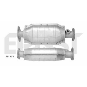 Katalysator 751100 von ERNST günstig für 417,43 € online kaufen