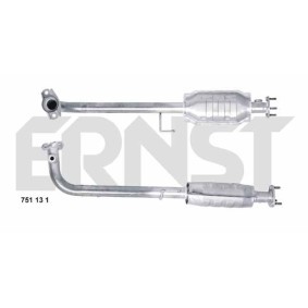 Katalysator 751131 von ERNST günstig für 482,08 € online kaufen