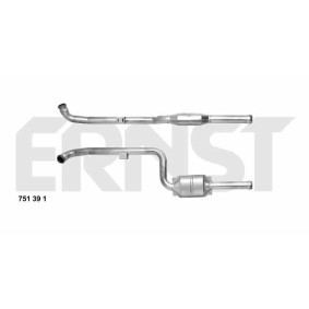 Katalysator 751391 von ERNST günstig für 419,29 € online kaufen