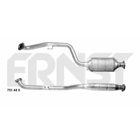 Katalysator 751445 von ERNST günstig für 513,87 € online kaufen