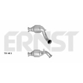Katalysator 751483 von ERNST günstig für 352,31 € online kaufen