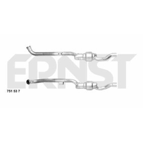 Katalysator 751537 von ERNST günstig für 438,11 € online kaufen