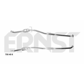 Katalysator 755450 von ERNST günstig für 485,58 € online kaufen