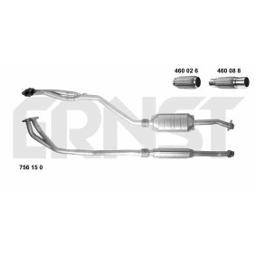 Katalysator 756150 von ERNST günstig für 403,10 € online kaufen