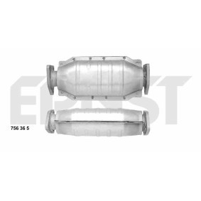 Katalysator 756365 von ERNST günstig für 256,93 € online kaufen