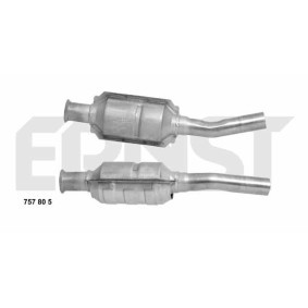 Katalysator 757805 von ERNST günstig für 218,33 € online kaufen