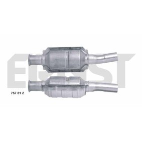 Katalysator 757812 von ERNST günstig für 229,49 € online kaufen